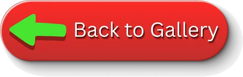 Back to Gallery